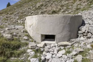 Ligne Maginot - JANUS SUD 1 - (Blockhaus pour arme infanterie) - 