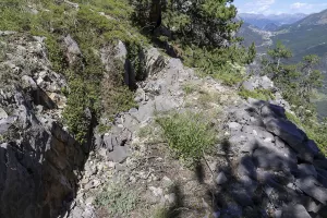 Ligne Maginot - CRETE DE LA PINEE 2 - (Observatoire d'artillerie) - Tranchée de liaison avec l'abri situé à l'arrière