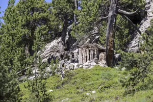 Ligne Maginot - CRETE DE LA PINEE 5 - (Abri) - 