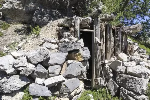 Ligne Maginot - CRETE DE LA PINEE 5 - (Abri) - 