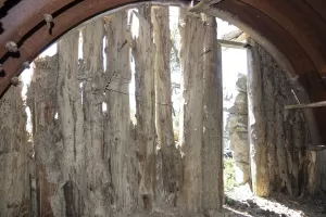 Ligne Maginot - CRETE DE LA PINEE 5 - (Abri) - 