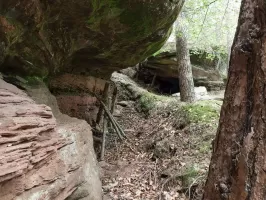 Ligne Maginot - LANDERSBERG OUEST - (Cuve pour arme d'infanterie) - Abris sous roche