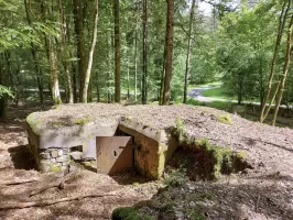 Ligne Maginot - DACHSECK 1 - (Blockhaus pour canon) - Caponnière et entrée du canon antichar
