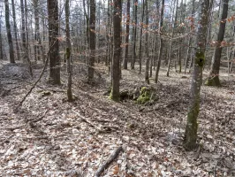 Ligne Maginot - WEIHERSTHAL NORD - (Blockhaus pour canon) - Le système de tranchée desservant le bouclier continue dans la forêt