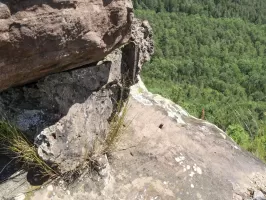 Ligne Maginot - FALKENBERG - (Observatoire d'artillerie) - Vue du poste d'observation haut les fer à béton ont disparue 