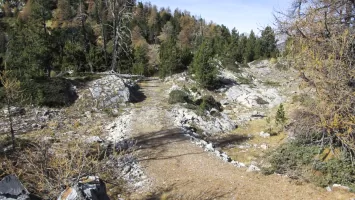 Ligne Maginot - LA LAUZETTE CENTRE (3° BIE / 154° RAP) - (Position d'artillerie préparée) - Cheminement permettant l'accès aux pas de tir