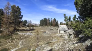 Ligne Maginot - LA LAUZETTE CENTRE (3° BIE / 154° RAP) - (Position d'artillerie préparée) - Plateau central avec des vestiges de bâtiments