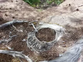 Ligne Maginot - WALDECK - (Observatoire d'artillerie) - Graffiti sur l'ancrage d'un rondin