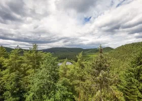 Ligne Maginot - WALDECK - (Observatoire d'artillerie) - Vue au nord-ouest, vers l'étang de Waldeck