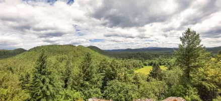 Ligne Maginot - WALDECK - (Observatoire d'artillerie) - Vue au nord vers la LPR
A gauche les sommets du Kandelberg, de l'Erbsenberg et du Biesenberg. A droite la vallée de l'Erbsenthal