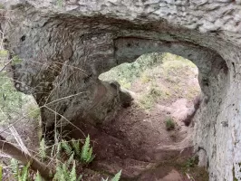 Ligne Maginot - WALDECK - (Observatoire d'artillerie) - Poterne taillée dans le roc donnant accès au sommet du rocher nord
