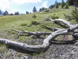 Ligne Maginot - LA LAUZETTE CRêTE (3° BIE / 154° RAP) - (Position d'artillerie préparée) - La troisième plate-forme pour canon de 75mm.