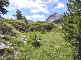 Ligne Maginot - LA LAUZETTE SUD (3° BIE / 154° RAP) - (Position d'artillerie préparée) - Une première plate-forme de tir.