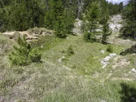 Ligne Maginot - LA LAUZETTE SUD (3° BIE / 154° RAP) - (Position d'artillerie préparée) - Une première plate-forme de tir.