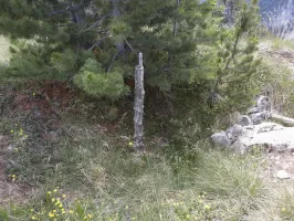 Ligne Maginot - LA LAUZETTE SUD (3° BIE / 154° RAP) - (Position d'artillerie préparée) - Un support artisanal pour une arme d'infanterie.