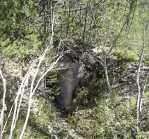 Ligne Maginot - LA PINATELLE 5 - (Abri) - 
