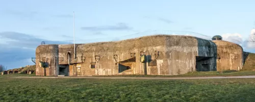 Ligne Maginot - BOIS DU FOUR - A5 - (Ouvrage d'infanterie) - Vue générale panoramique