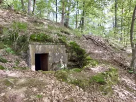Ligne Maginot - BIESENBERG - OBS AVANCé - (Observatoire d'artillerie) - Tranchée d'accès
Renforcement en pierres sèches autour de l'entrée