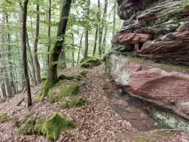 Ligne Maginot - BIESENBERG - OBS AVANCé - (Observatoire d'artillerie) - Rocher sommital
Tranchée