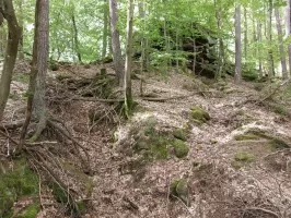 Ligne Maginot - BIESENBERG - OBS AVANCé - (Observatoire d'artillerie) - Tranchée vers le rocher sommital
A gauche, la seconde entrée (remblayée) de l'observatoire