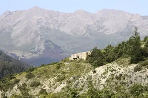 Ligne Maginot - SAINT OURS HAUT (SOH) - (Ouvrage d'artillerie) - Bloc 5.
Vu du chemin de Mallemort. La cloche GFM, en haut du bloc, est cachée par le sapin;