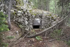 Ligne Maginot - LE CHATEAU - COTE 1655 - (Blockhaus pour arme infanterie) - Vue avant.
Créneau unique
