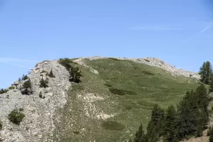 Ligne Maginot - OMBILIC SUD INFéRIEUR - (Blockhaus pour arme infanterie) - La crête de l'Ombilic 