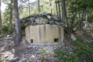 Ligne Maginot - RAVIN DE L'ENROUYE 4 - (Blockhaus pour arme infanterie) - 
