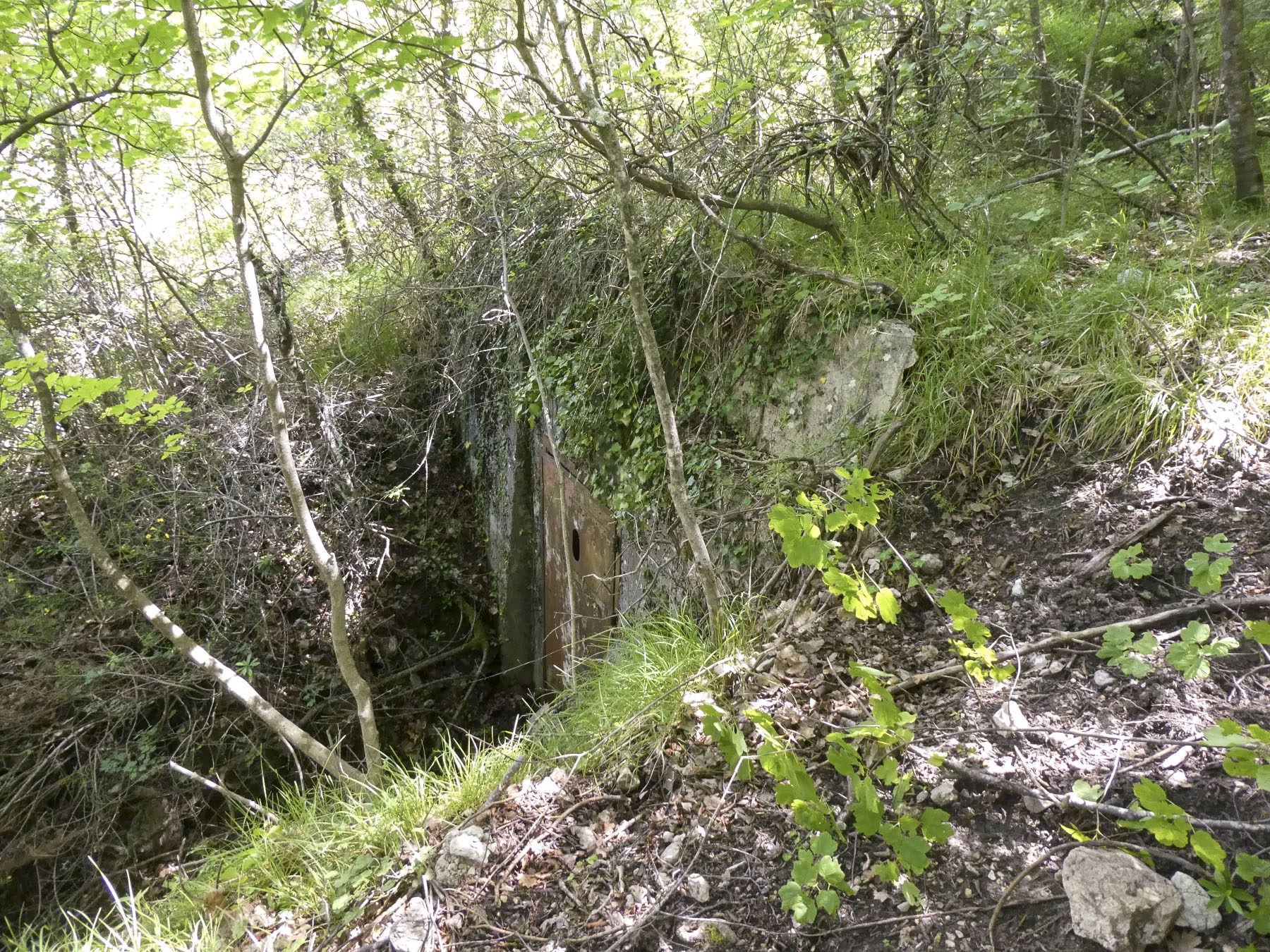 Ligne Maginot - COL DE SEGRA - (Chambre de coupure) -  - ELLENA Daniel - CUNY Philippe