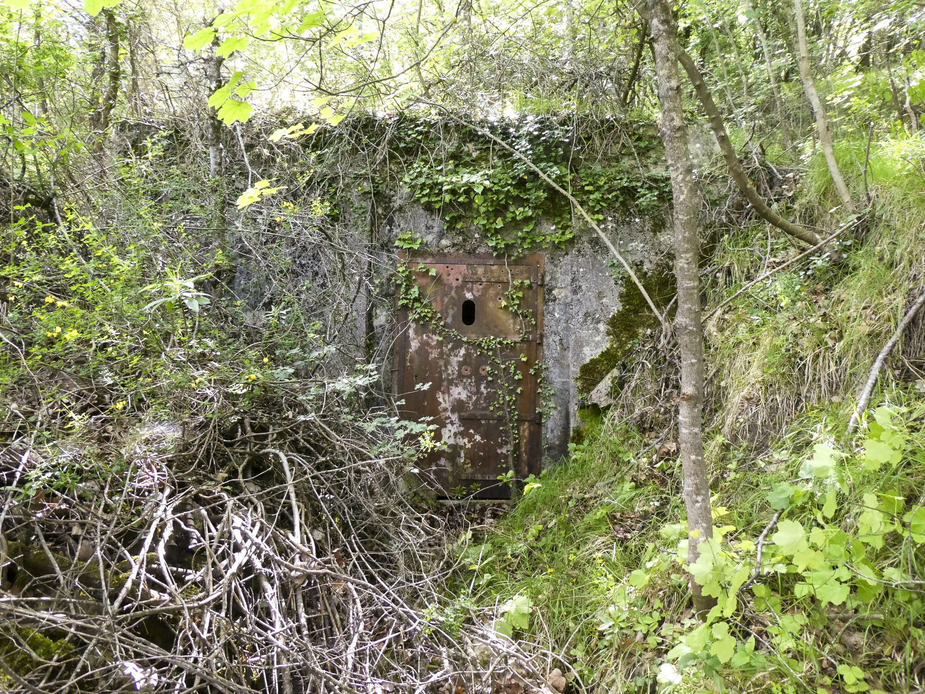 Ligne Maginot - COL DE SEGRA - (Chambre de coupure) -  - ELLENA Daniel - CUNY Philippe