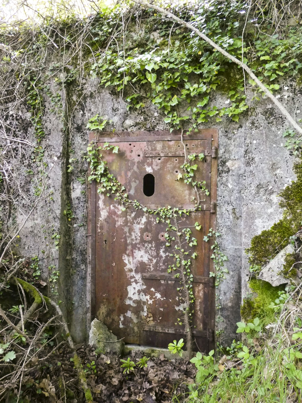 Ligne Maginot - COL DE SEGRA - (Chambre de coupure) -  - ELLENA Daniel - CUNY Philippe