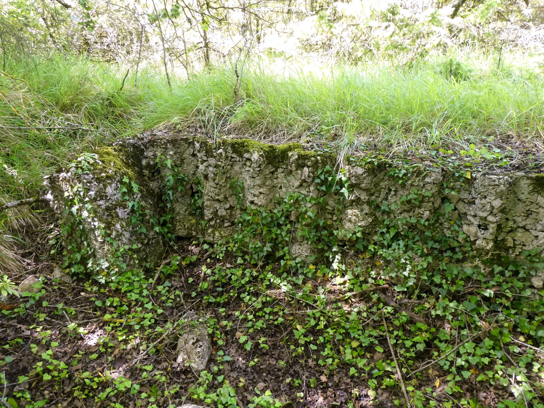 Ligne Maginot - COL DE SEGRA SUD - (Abri) -  - ELLENA Daniel - CUNY Philippe