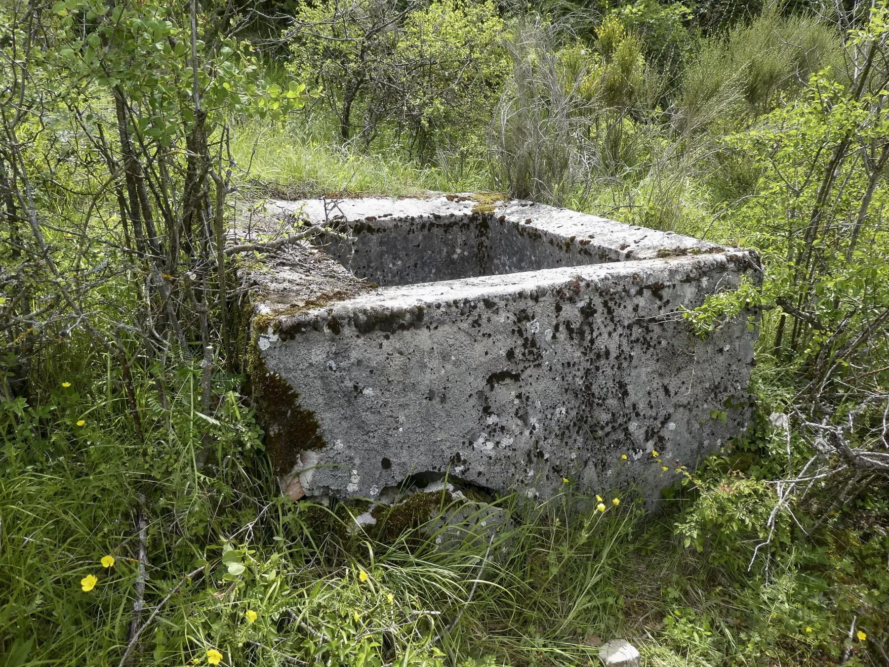 Ligne Maginot - COL DE SEGRA SUD - (Abri) - Réserve d'eau prés de l'abri  - ELLENA Daniel - CUNY Philippe