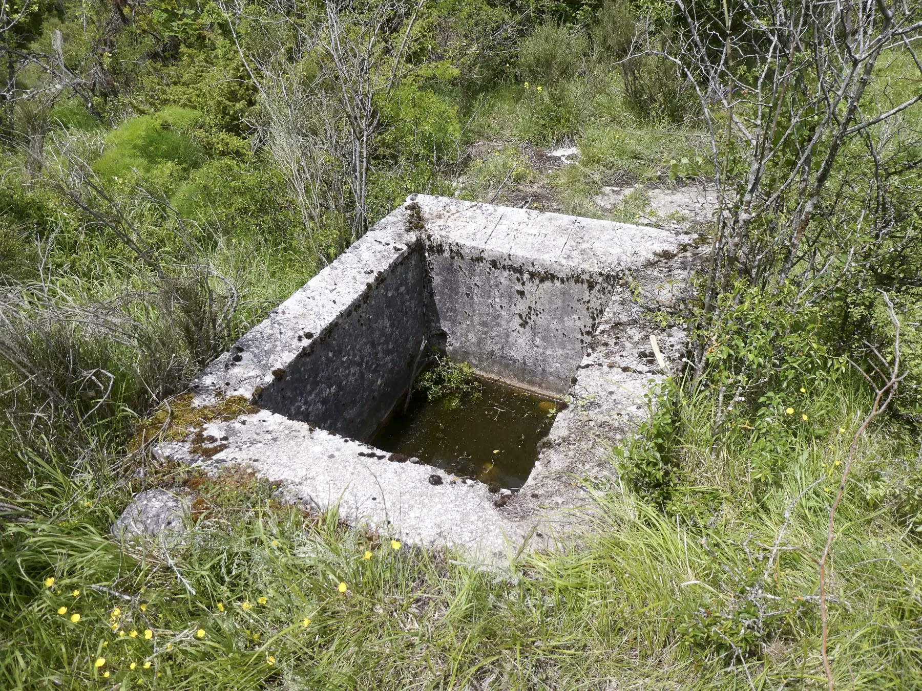 Ligne Maginot - COL DE SEGRA SUD - (Abri) -  - ELLENA Daniel - CUNY Philippe