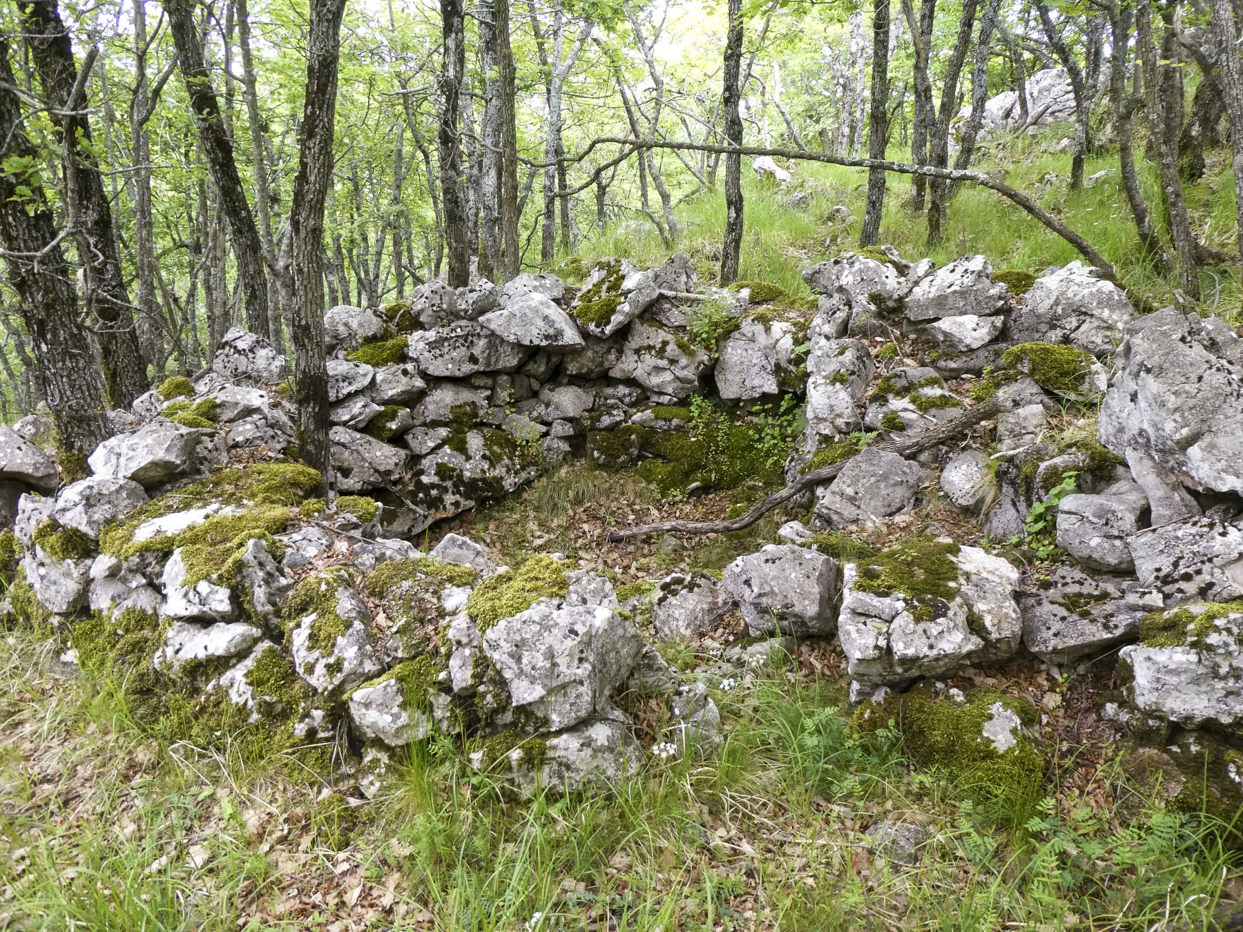 Ligne Maginot - COL DE SEGRA SUD-EST 3 - (Cuve pour arme d'infanterie) -  - ELLENA Daniel - CUNY Philippe