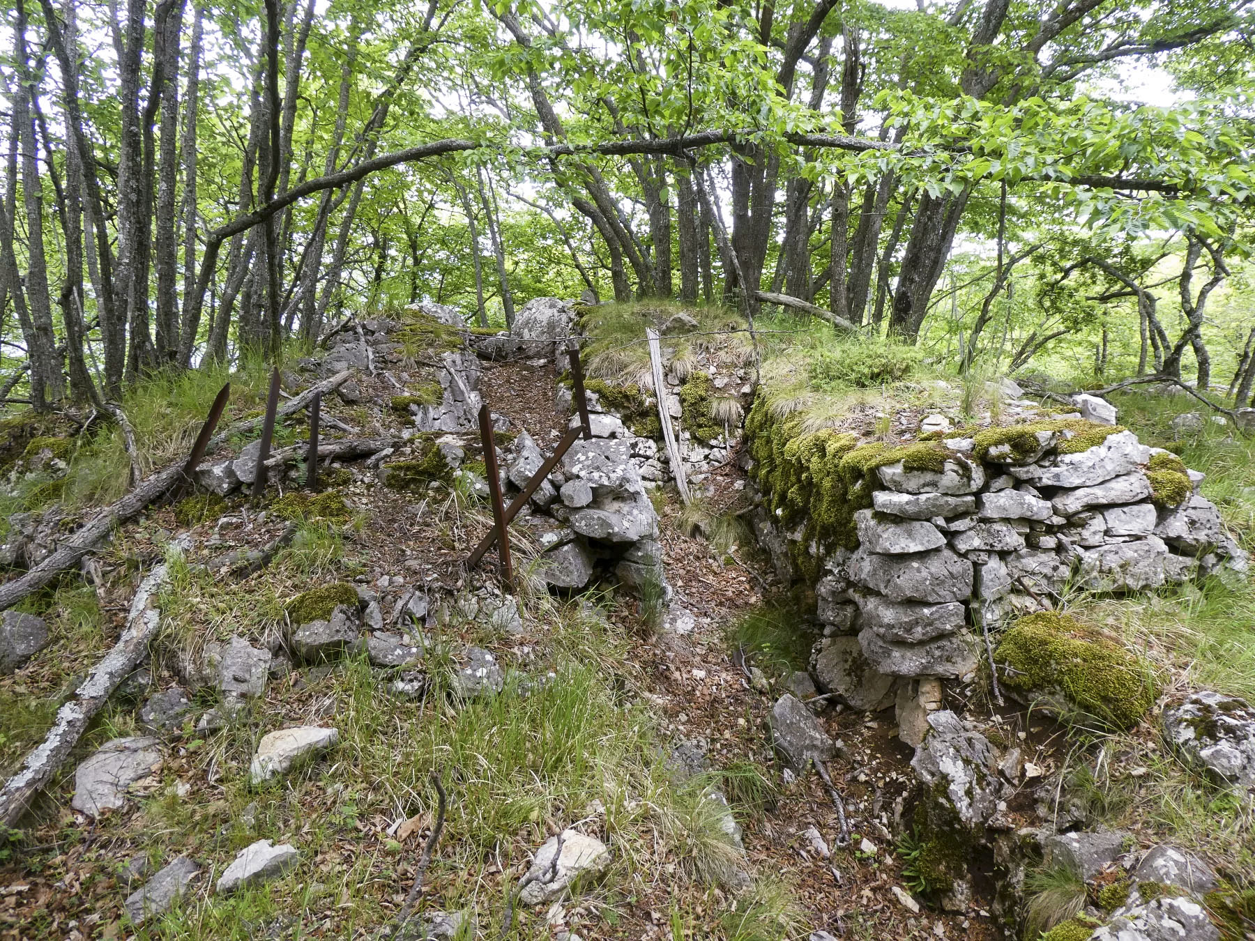 Ligne Maginot - COL DE SEGRA SUD-EST 3 - (Cuve pour arme d'infanterie) -  - ELLENA Daniel - CUNY Philippe