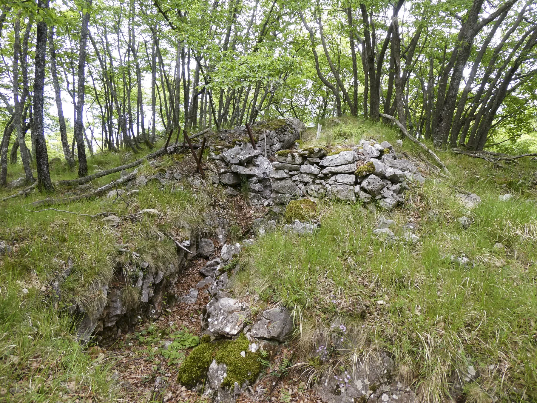Ligne Maginot - COL DE SEGRA SUD-EST 3 - (Cuve pour arme d'infanterie) -  - ELLENA Daniel - CUNY Philippe