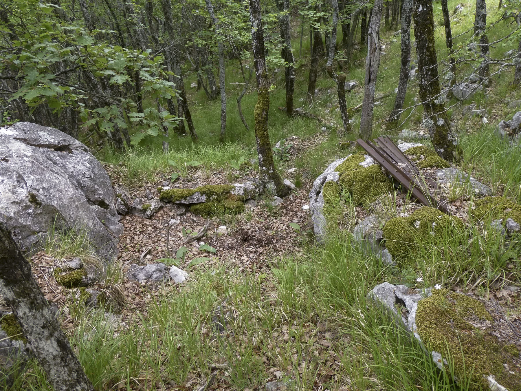 Ligne Maginot - COL DE SEGRA SUD-EST 3 - (Cuve pour arme d'infanterie) -  - ELLENA Daniel - CUNY Philippe