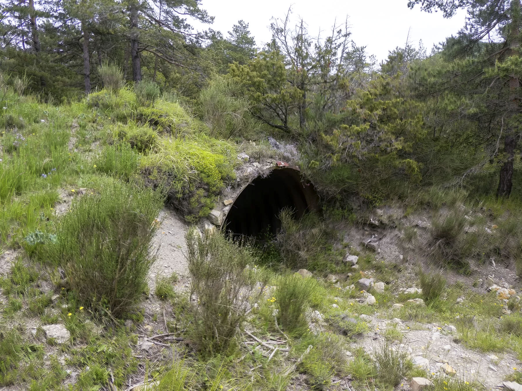 Ligne Maginot - RAVIN DE GAZOUIL - (Abri) -  - ELLENA Daniel - CUNY Philippe