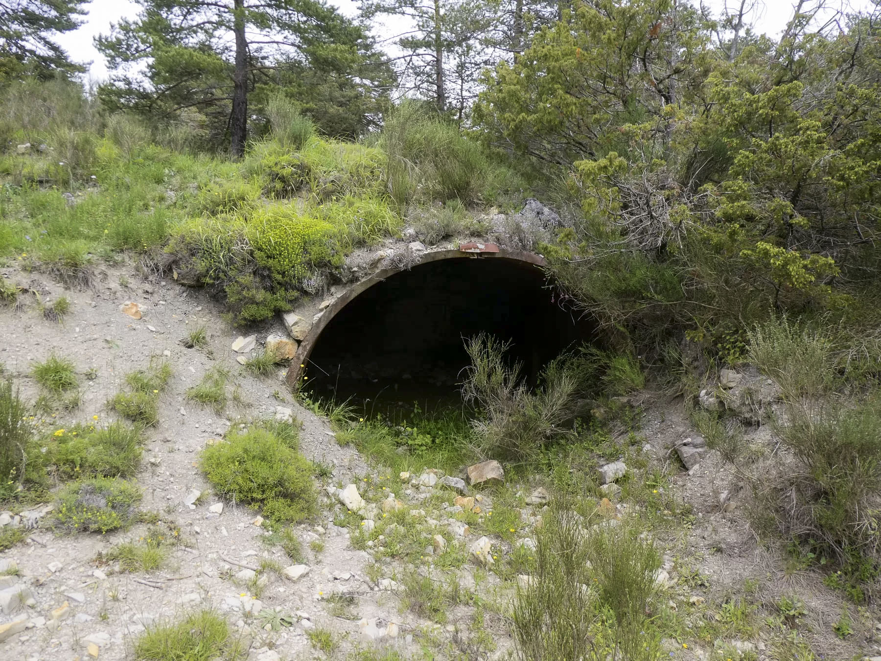 Ligne Maginot - RAVIN DE GAZOUIL - (Abri) -  - ELLENA Daniel - CUNY Philippe