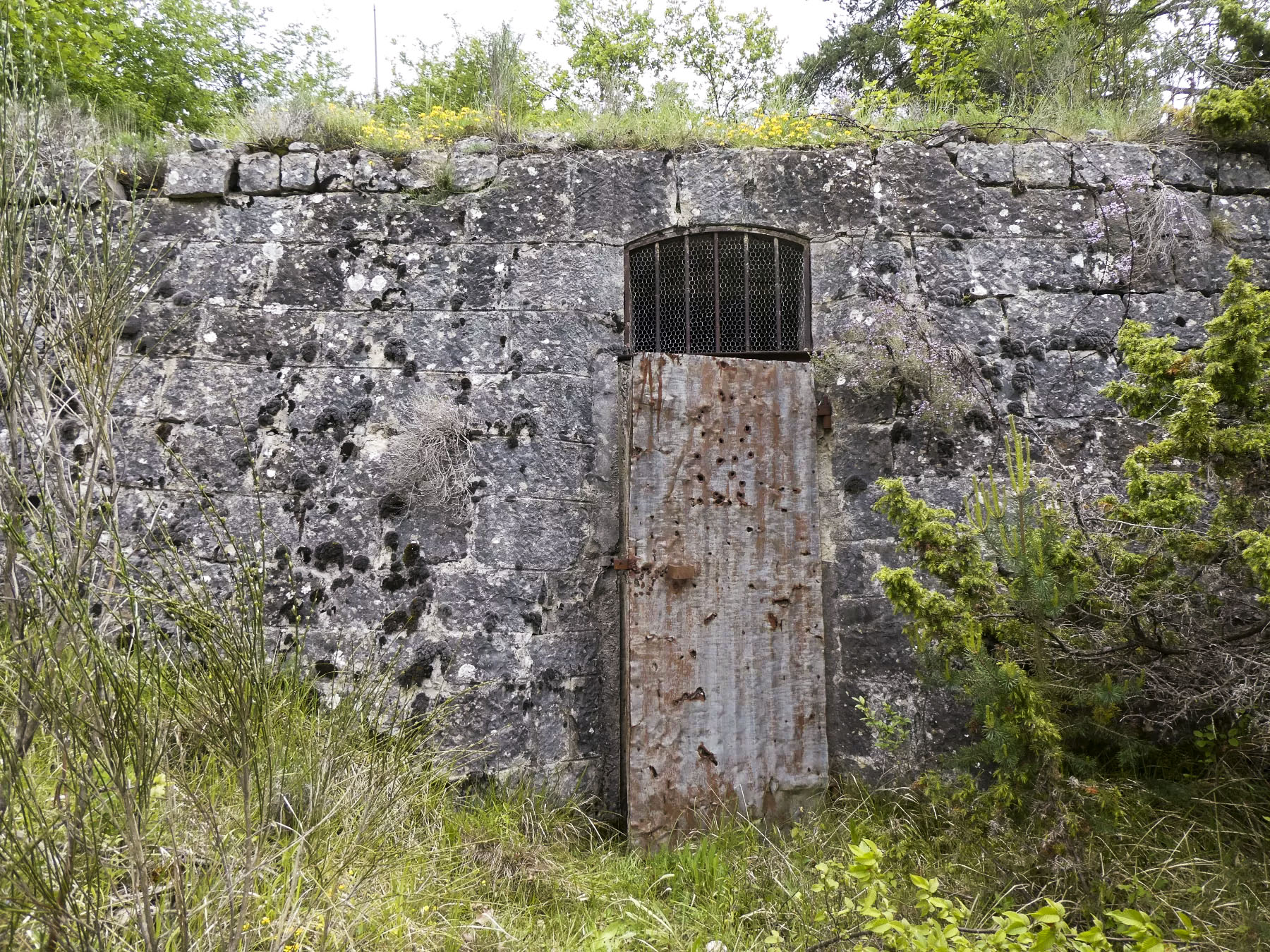 Ligne Maginot - RAVIN DE GAZOUIL - (Abri) - Environnement: le captage de Yéga - ELLENA Daniel - CUNY Philippe