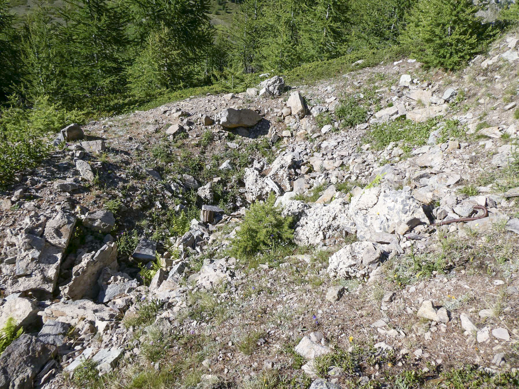 Ligne Maginot - COL DE GRANON ANNEXE 2 - (Blockhaus pour arme infanterie) - Emplacement du blockhaus - ELLENA Daniel - CUNY Philippe