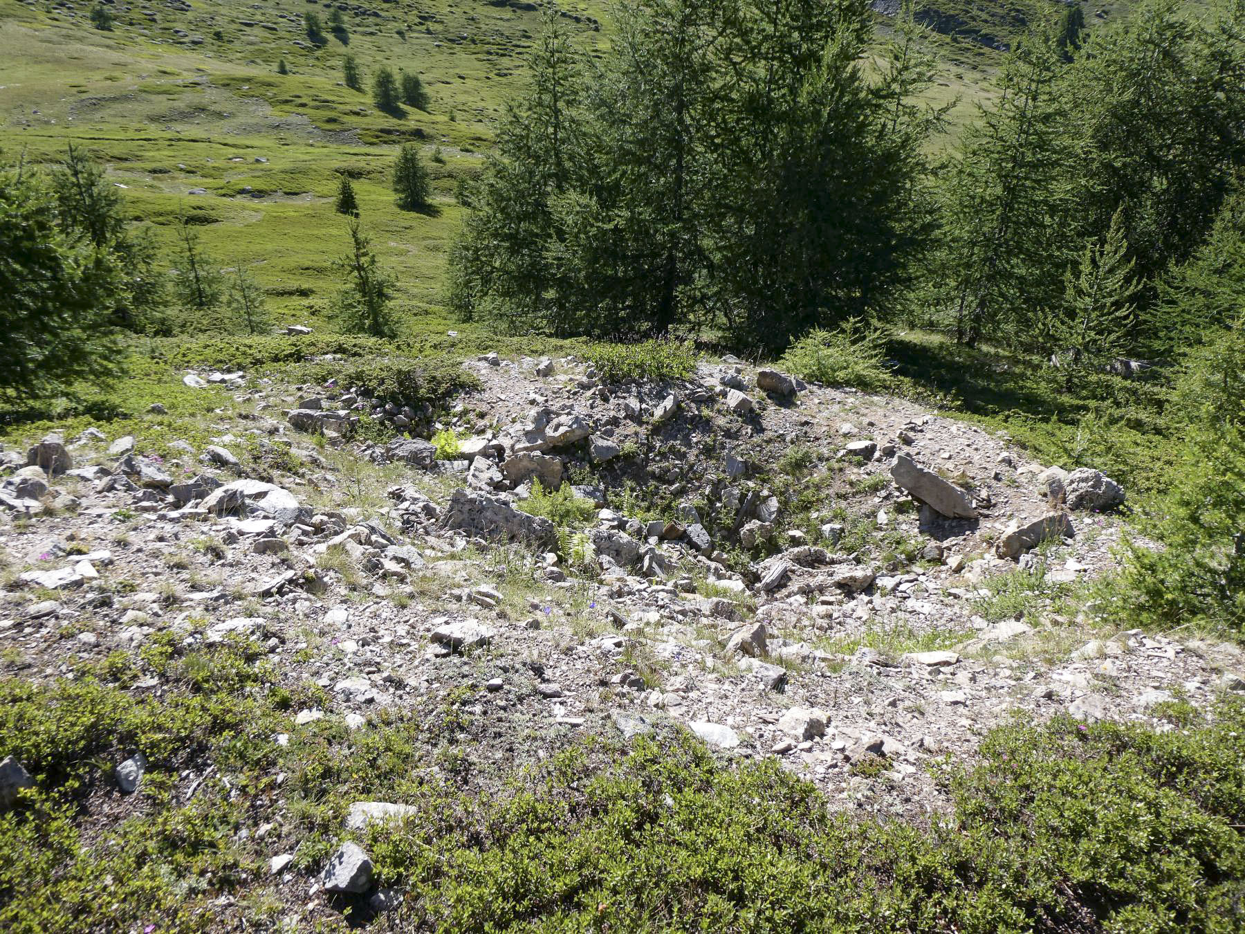 Ligne Maginot - COL DE GRANON ANNEXE 2 - (Blockhaus pour arme infanterie) - Emplacement du blockhaus - ELLENA Daniel - CUNY Philippe