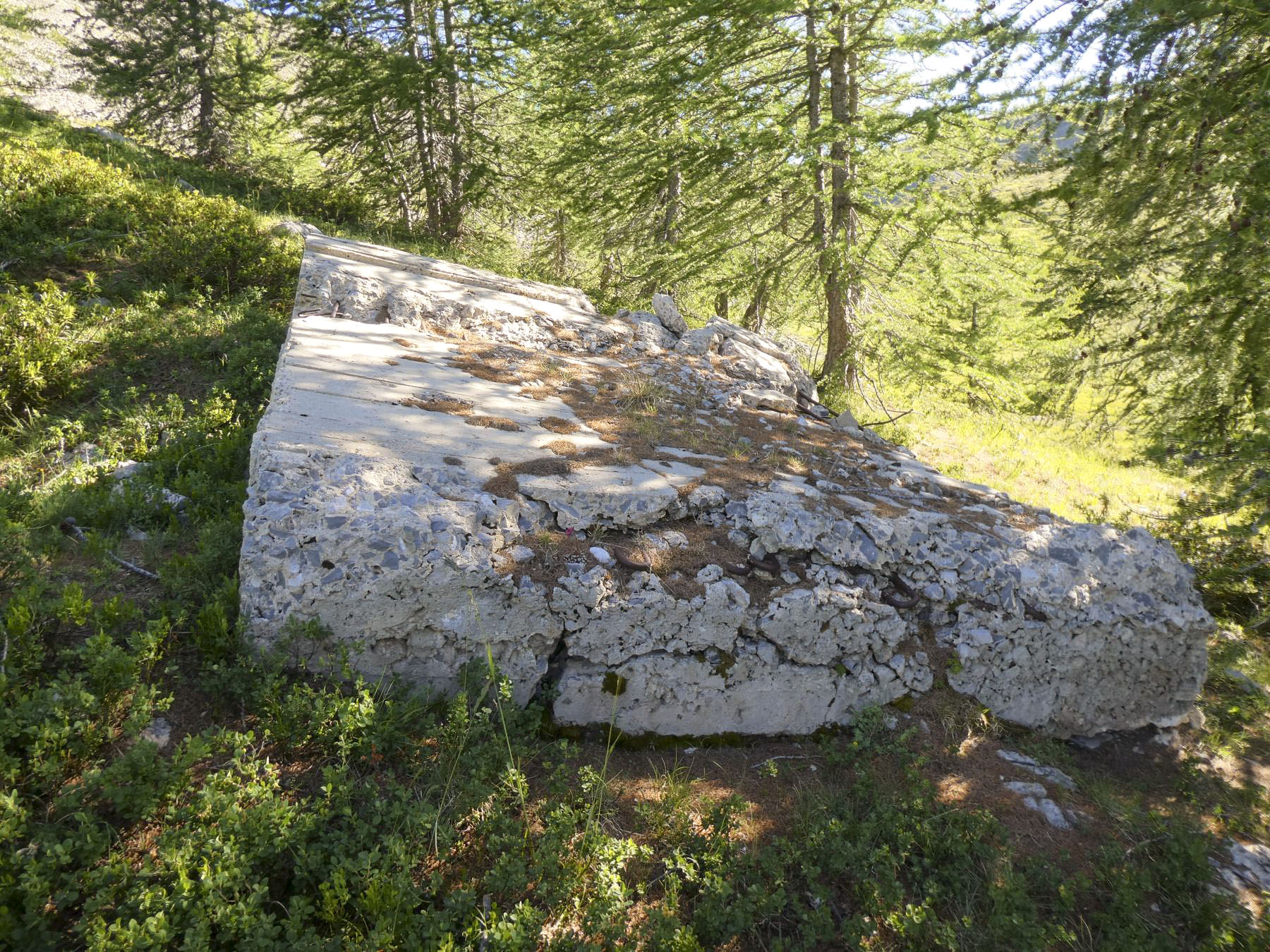 Ligne Maginot - COL DE GRANON ANNEXE 2 - (Blockhaus pour arme infanterie) - Dalle de toiture projetée plus bas par l'explosion - ELLENA Daniel - CUNY Philippe