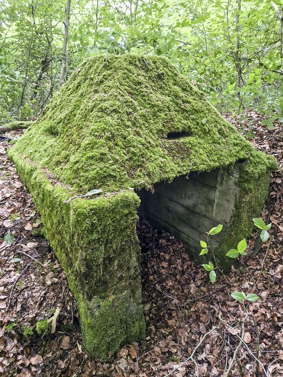 Ligne Maginot - ALTWIESERBACH 6 - (Observatoire indéterminé) - Le premier poste d'observation intact - Franck Niederlender
