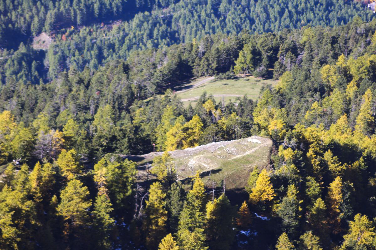 Ligne Maginot - GRANDE MAYE OUEST - (Position d'artillerie préparée) - Emplacements batteries