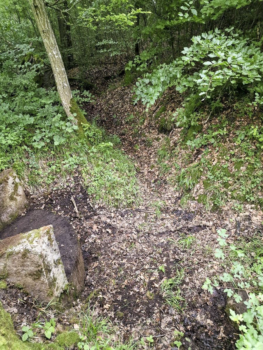 Ligne Maginot - ALTWIESERBACH 5 - (Cuve pour arme d'infanterie) - La tranchée d'accès - Franck Niederlender