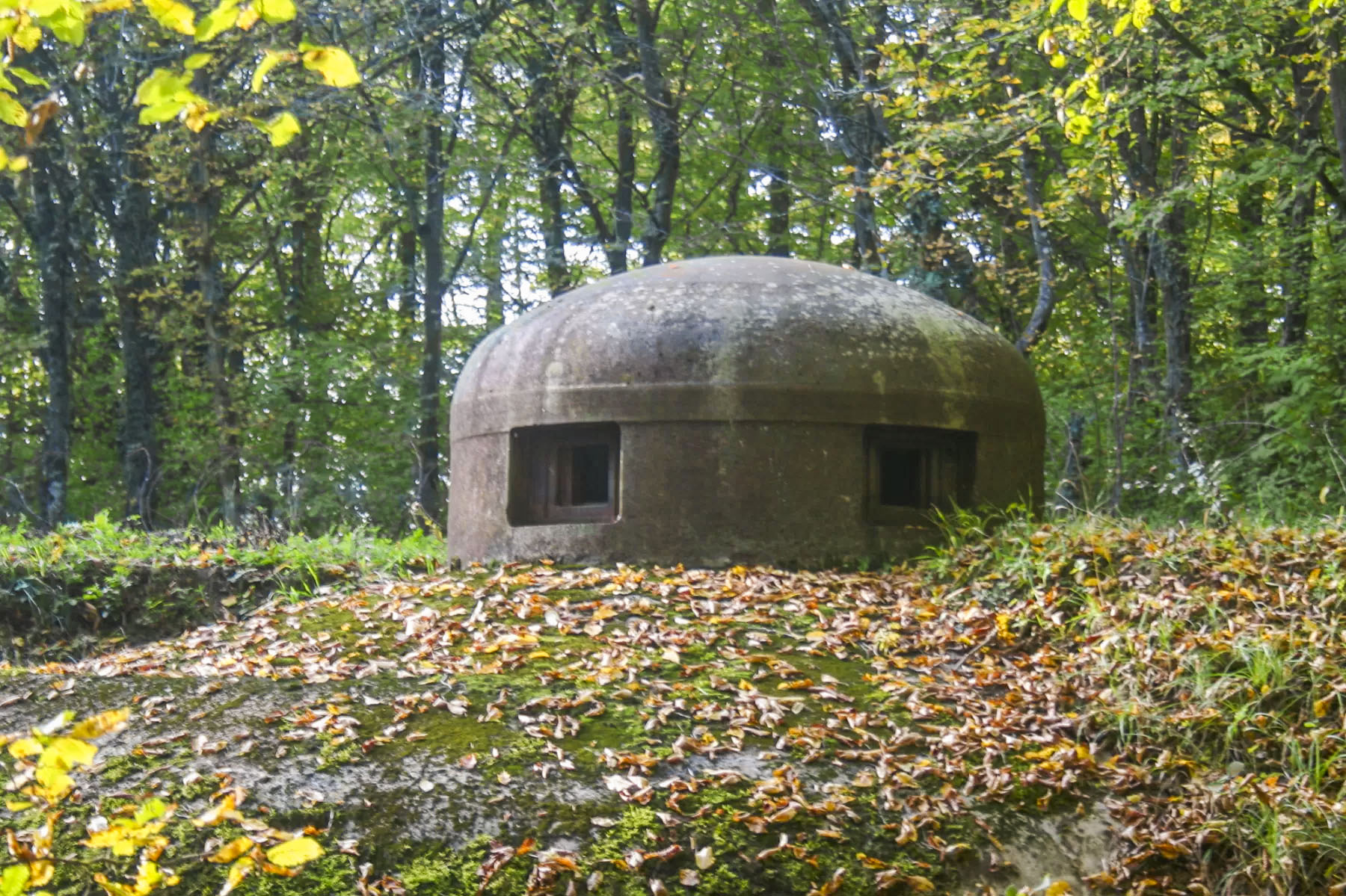 Ligne Maginot - BOIS DE CATTENOM - X14 - (Abri) - Cloche GFM - Michel Teiten