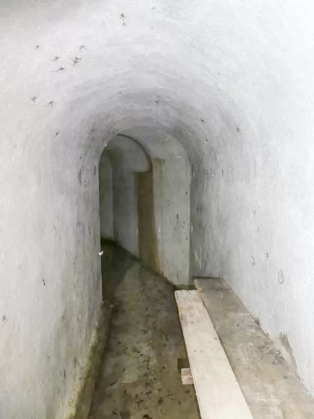 Ligne Maginot - COL DE SEGRA - (Chambre de coupure) - Une étagère à l'entrée, puis une orientation vers la gauche. - ELLENA Daniel - CUNY Philippe