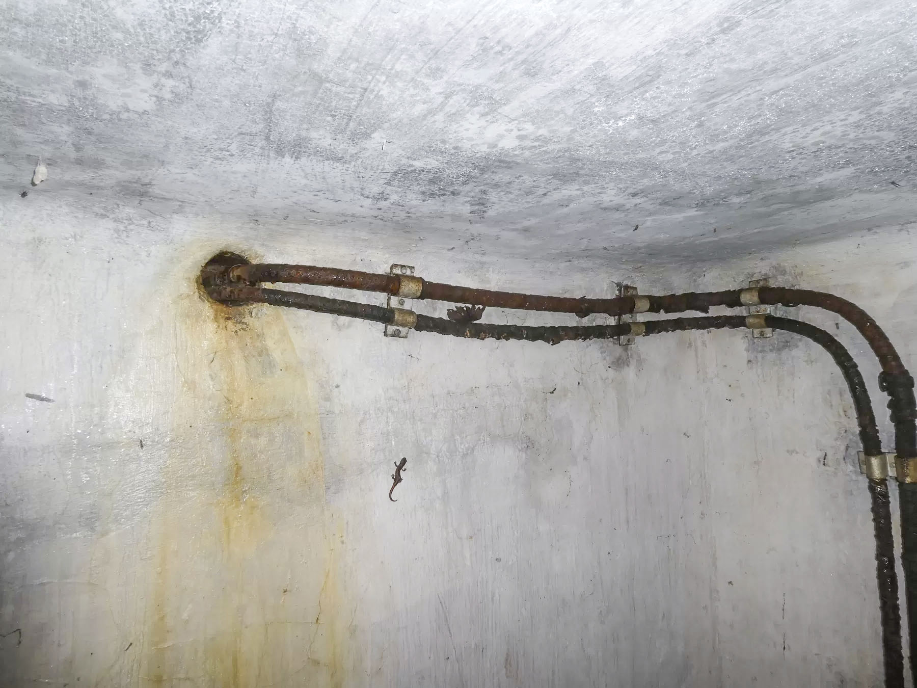 Ligne Maginot - COL DE SEGRA - (Chambre de coupure) - Arrivée ou départ des câbles côté nord - ELLENA Daniel - CUNY Philippe